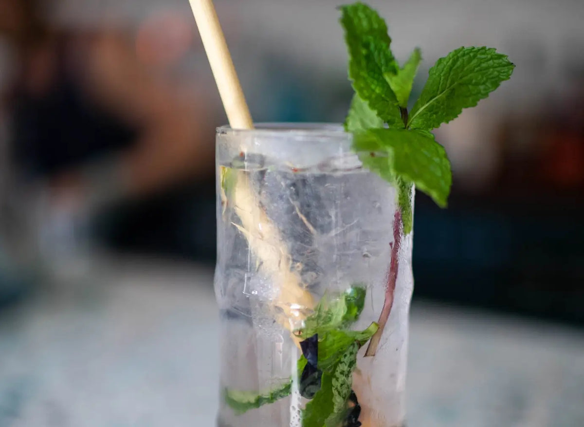 Blueberry Mojito